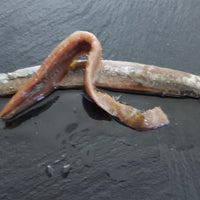 Nassari Anchovies